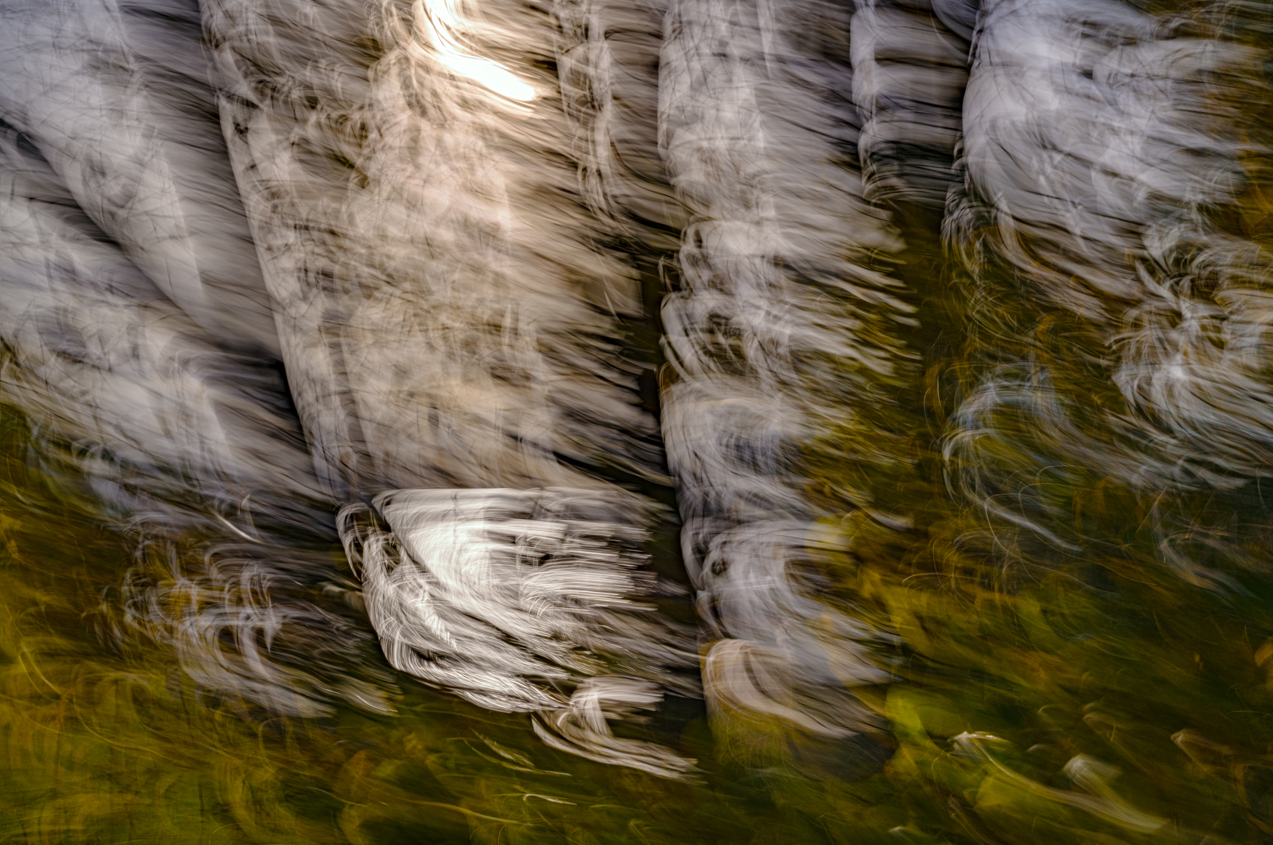 Sunlight, wind, and autumn