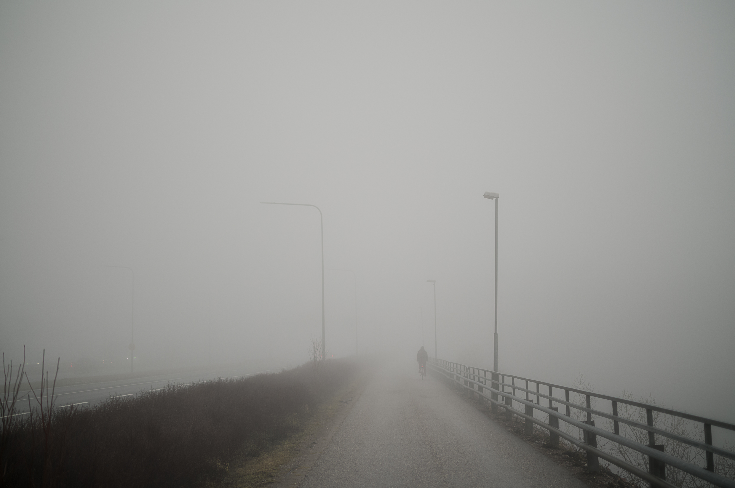 If the Day Is Gray
