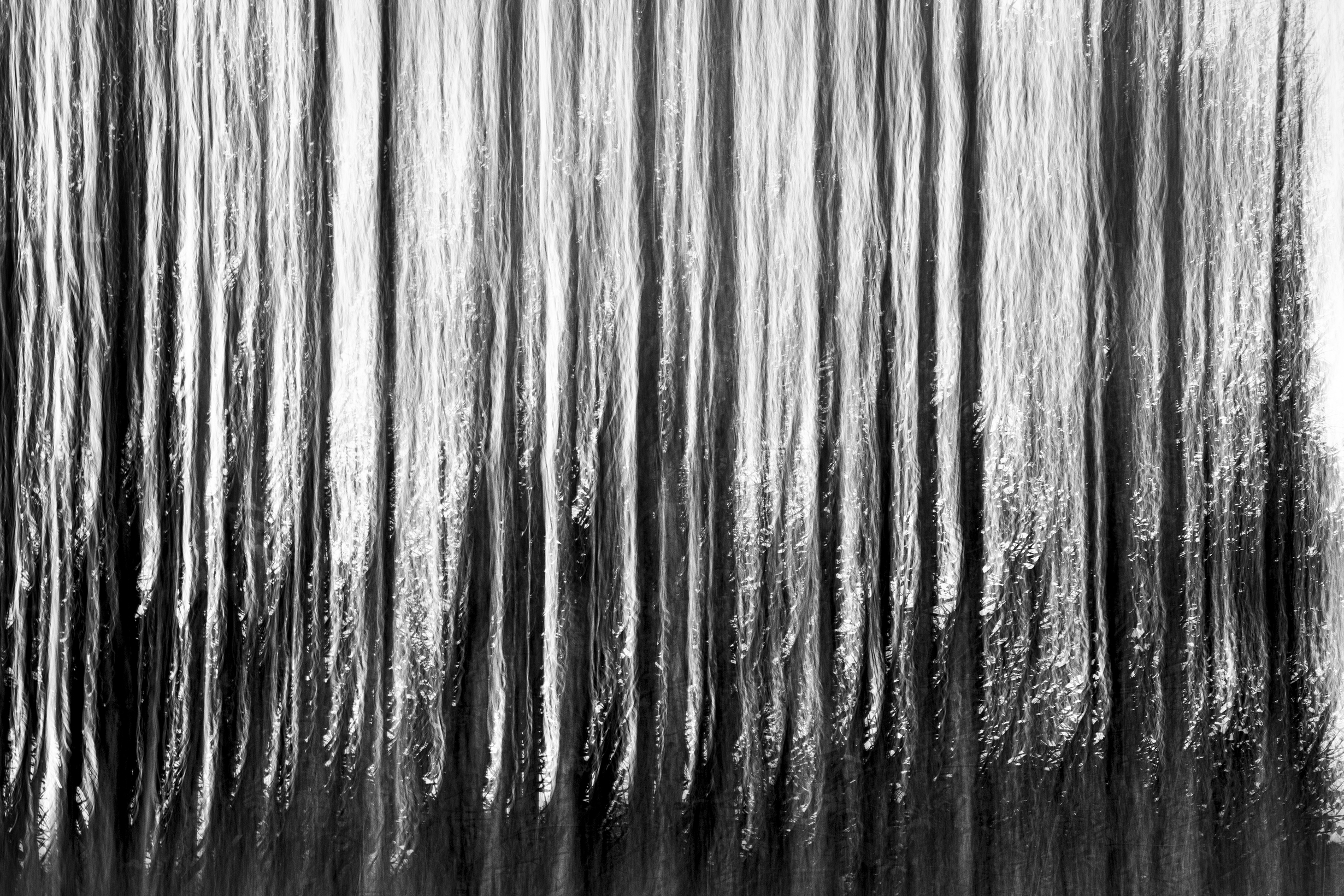 Glass Forest