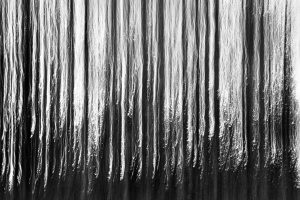 Glass forest